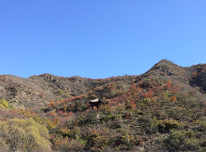 環(huán)境監(jiān)測(cè)